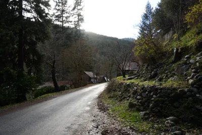 DSC_0919 (Large).JPG